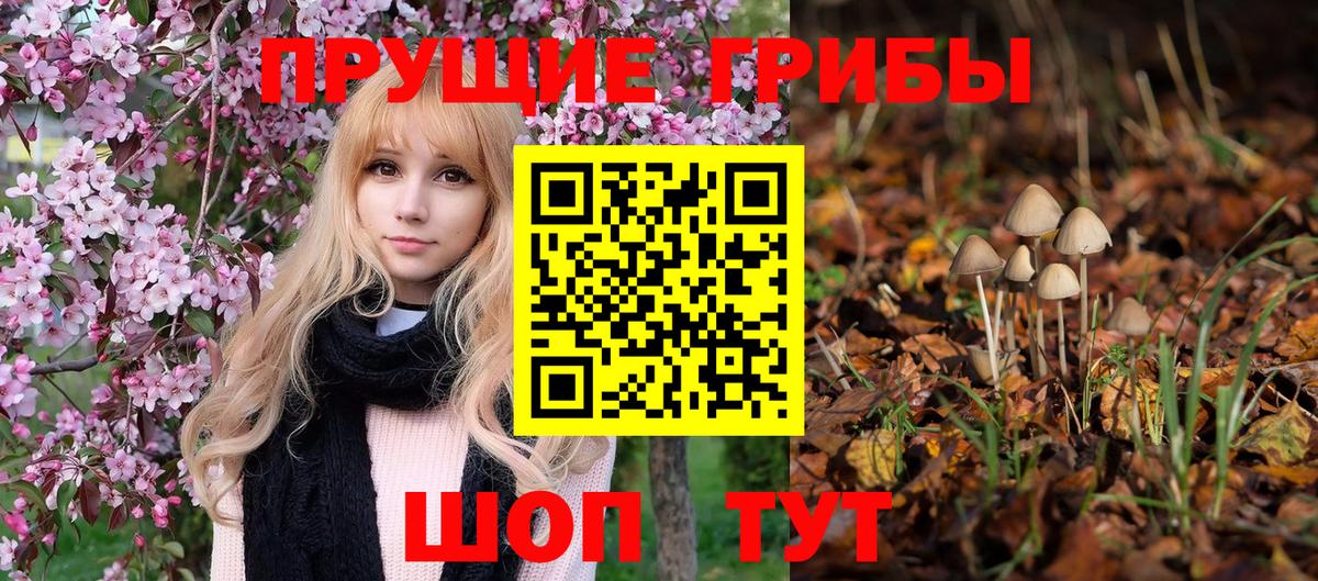 Псилоцибиновые грибы Cubensis Родники